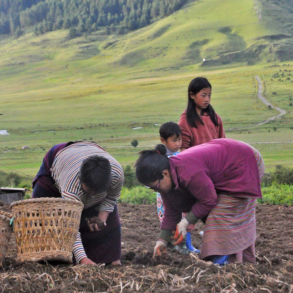 Haa Valley Culture