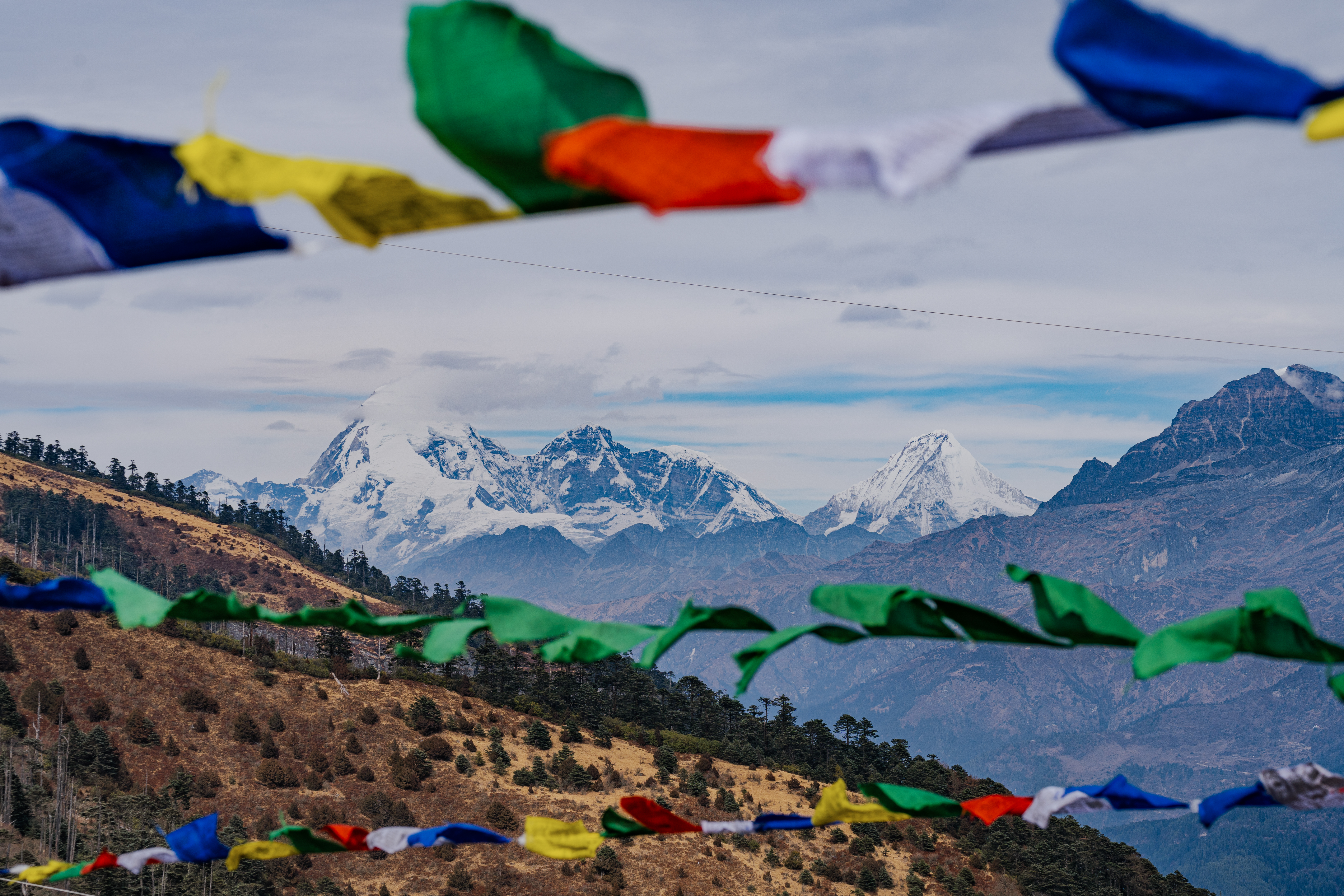 Punakha