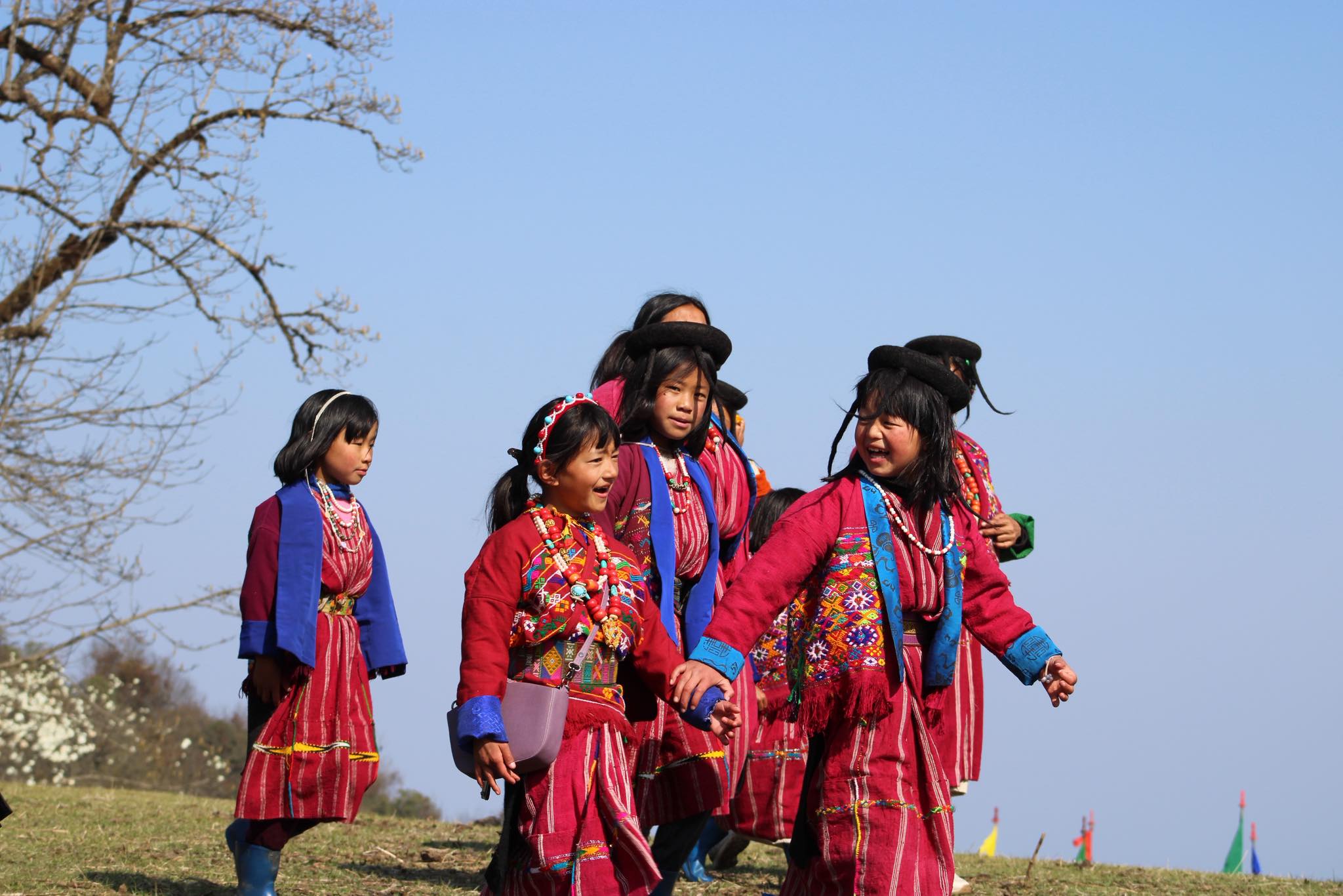Rododendon & Trakopan Festival