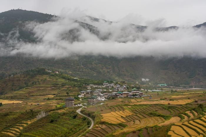Punakha Valley