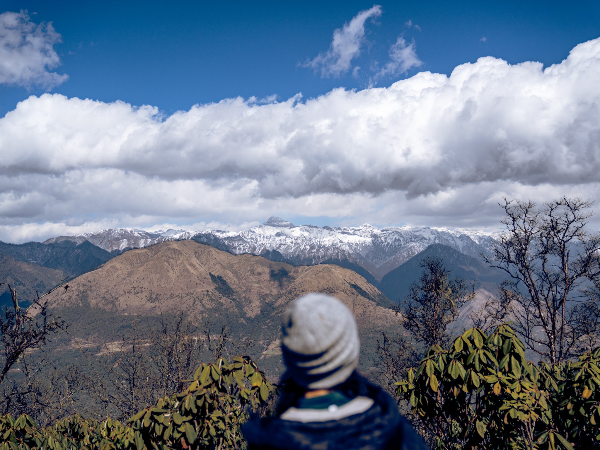 Punakha Valley