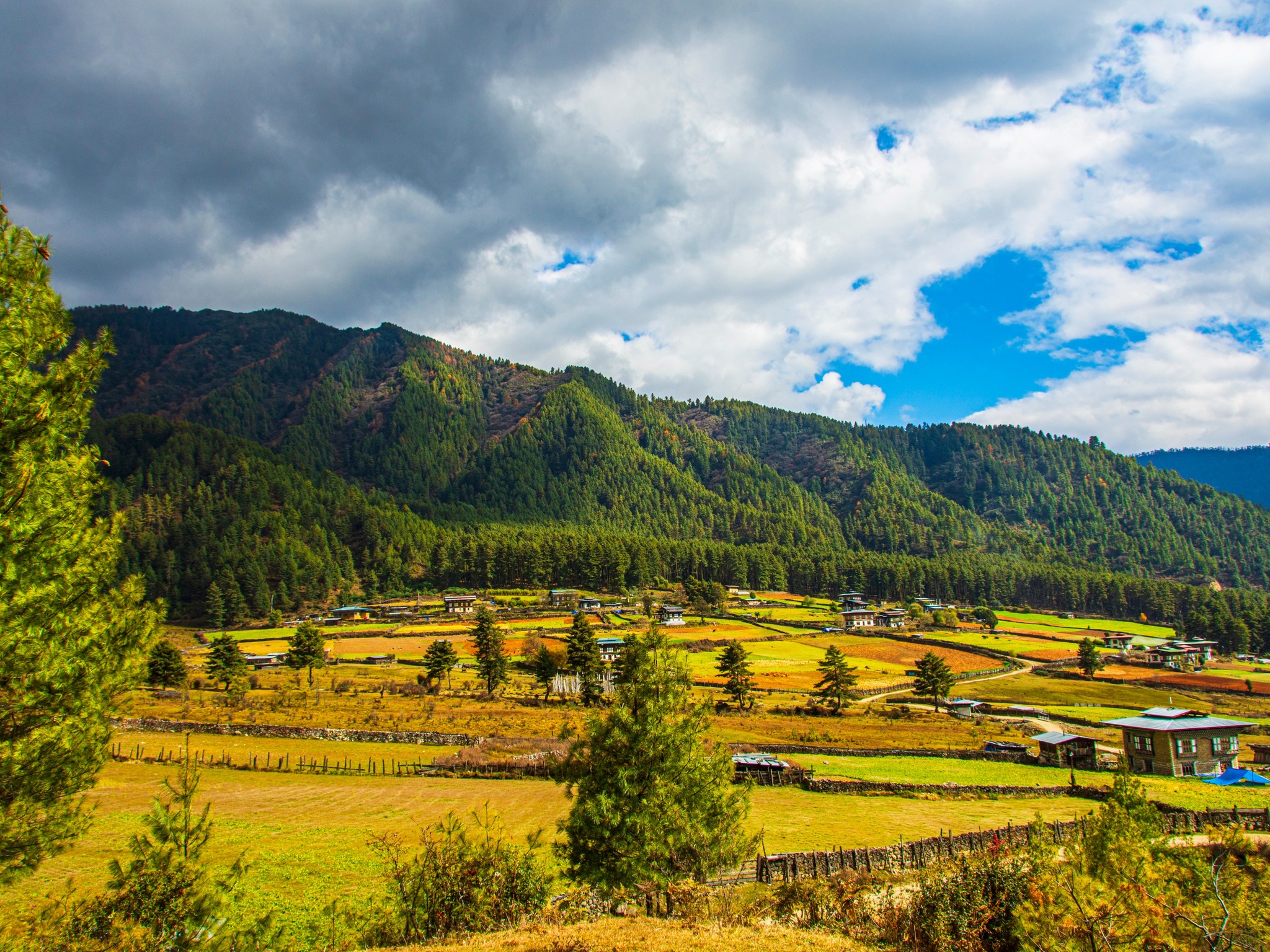 Punakha Valley