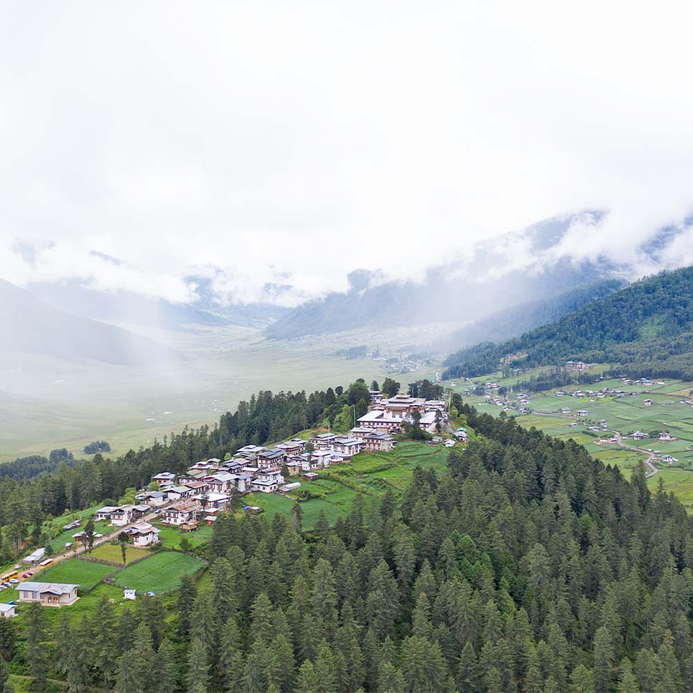 Punakha Valley