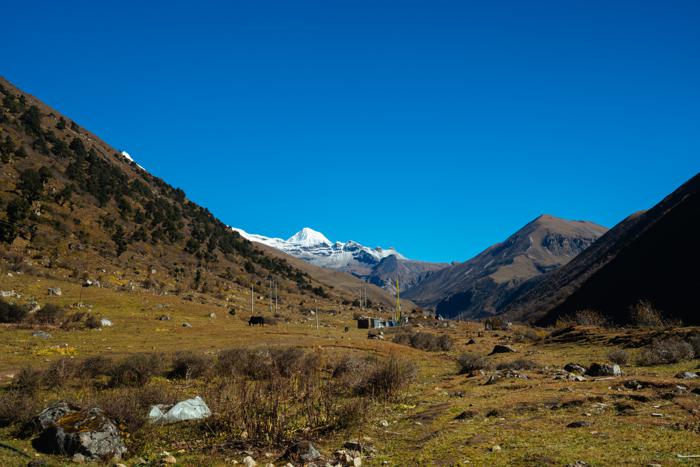 Punakha Valley