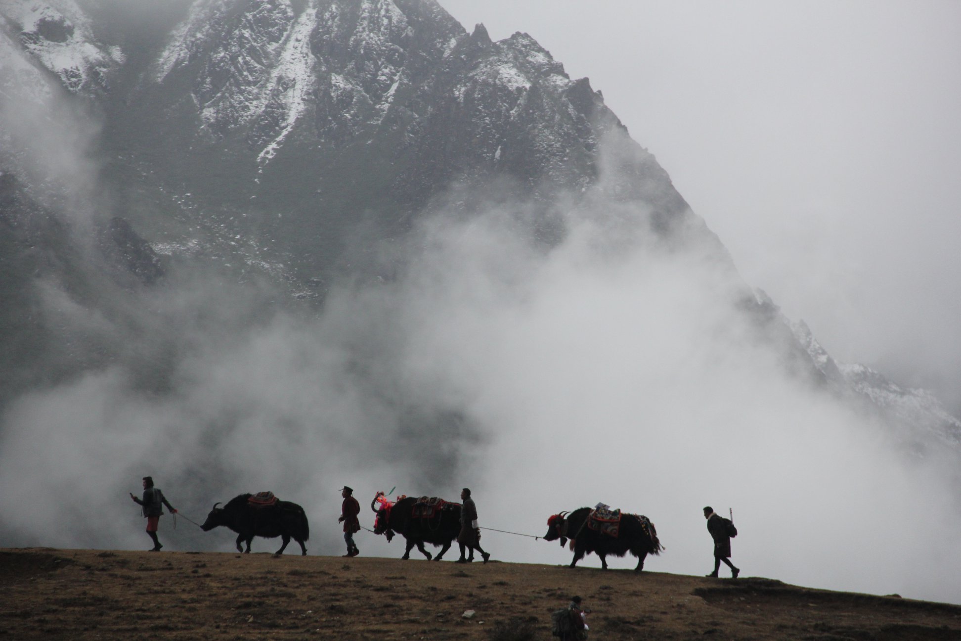Punakha Valley